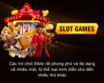 Chương Trình VIP Độc Quyền 23vin app